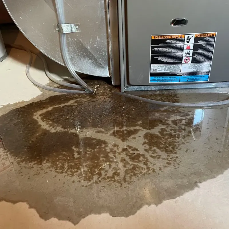 Pipe Burst and Leak Restoration in Monticello, IN