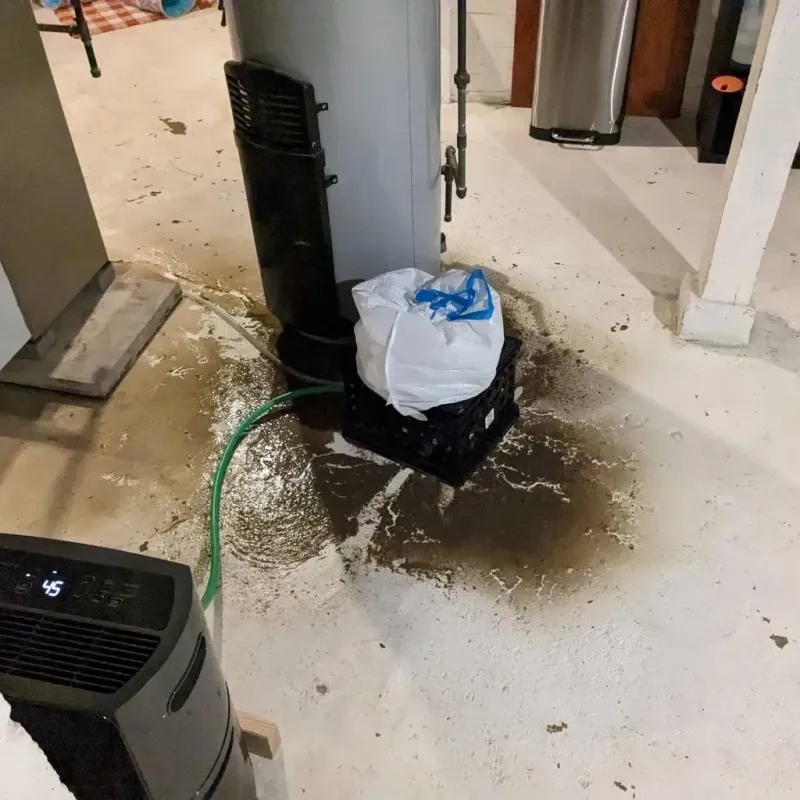 Sewage Backup Cleanup Service in Monticello, IN